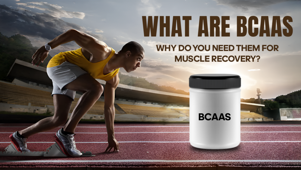 BCAAs, muscle recovery, branched-chain amino acids, BCAA supplements